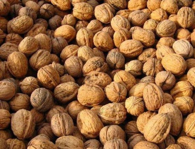 567922224 1395743749219060 8295154002054483949 n