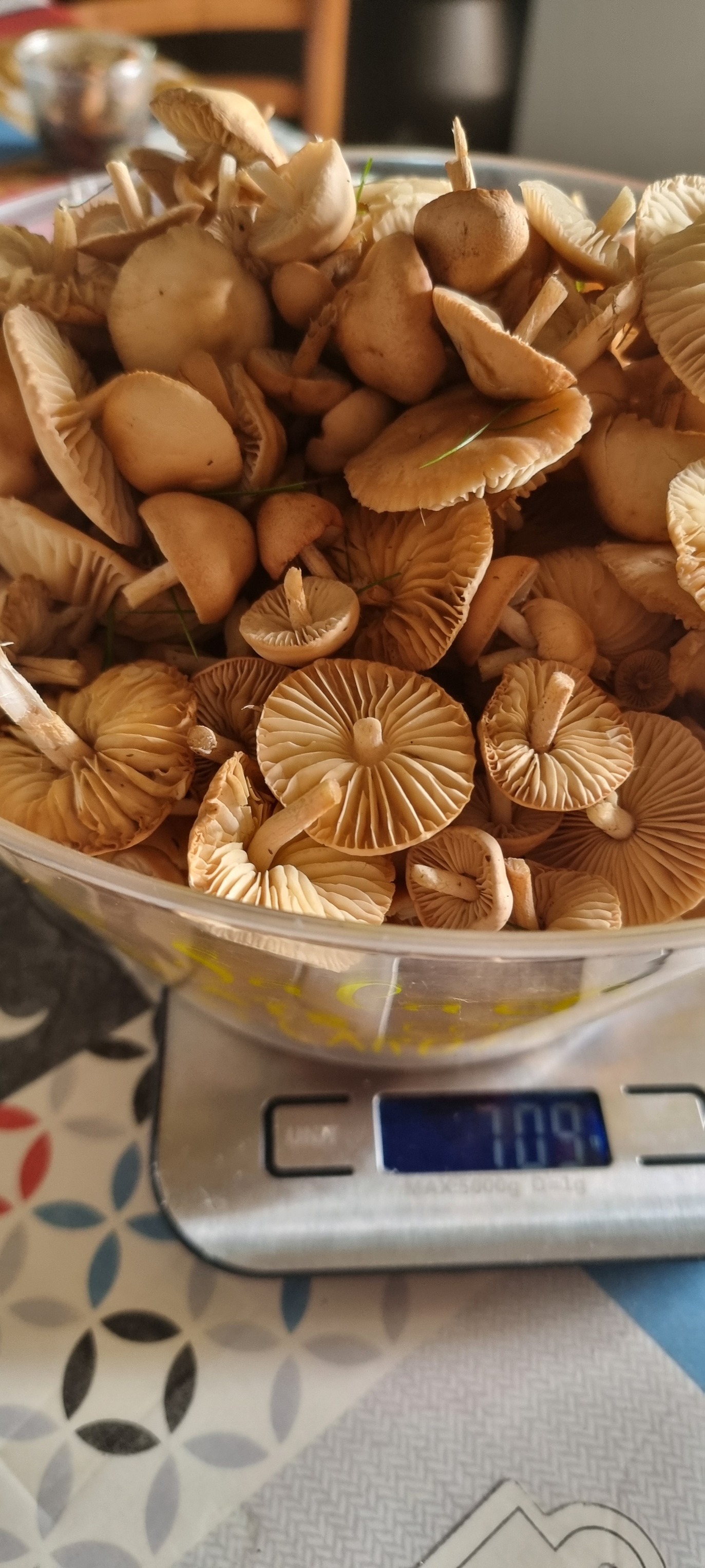 557205669 1375485404578228 8939178244468635487 n