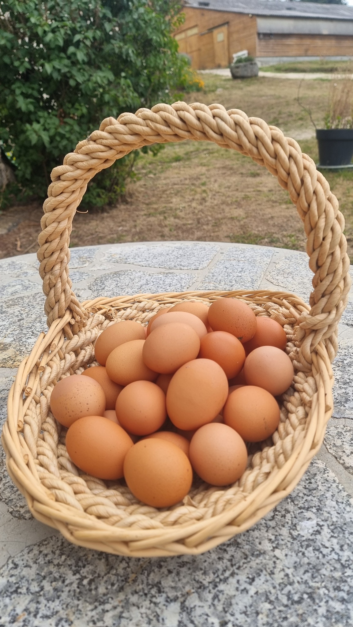 549715555 1364055732387862 3108503658315990623 n