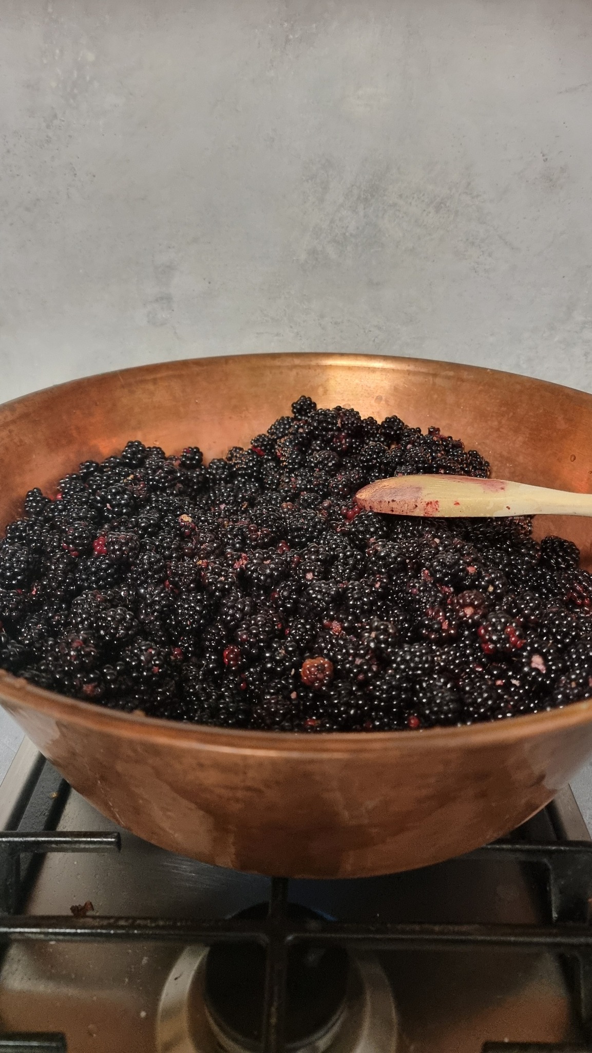 549543275 1364055109054591 3405419749445239367 n