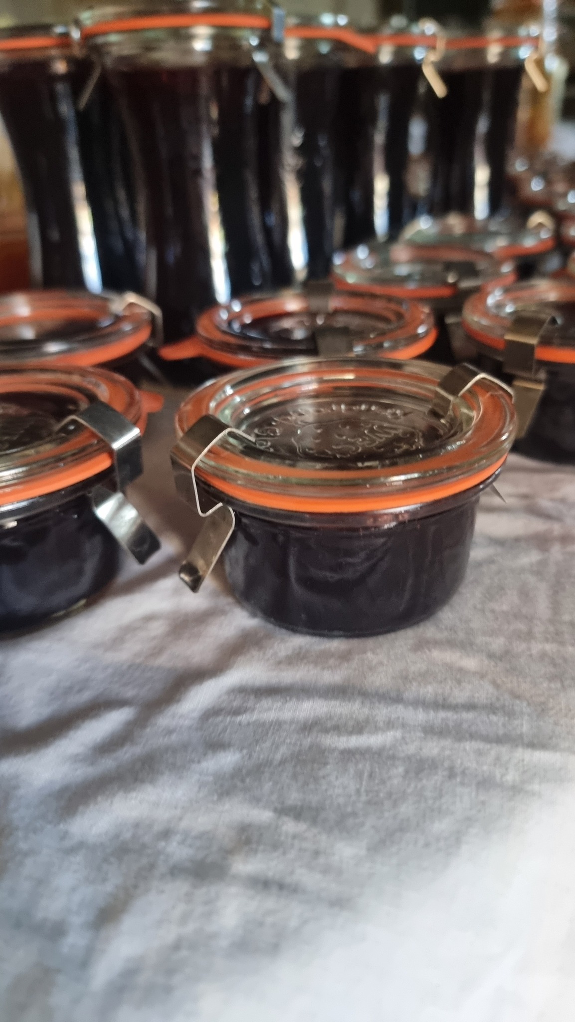 549174789 1364054669054635 7995114518509871209 n