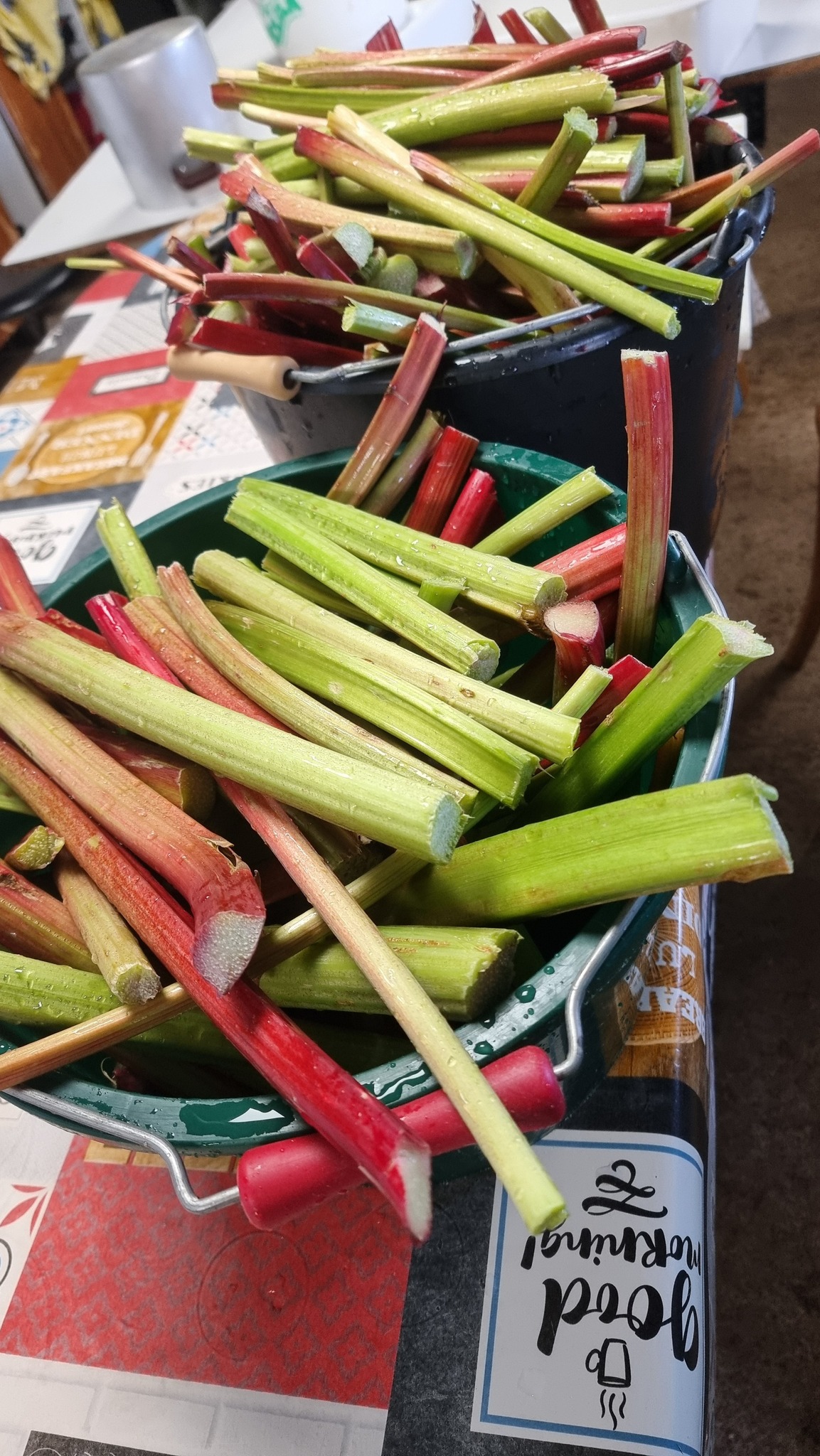 548310626 1364054175721351 2569722746556826893 n