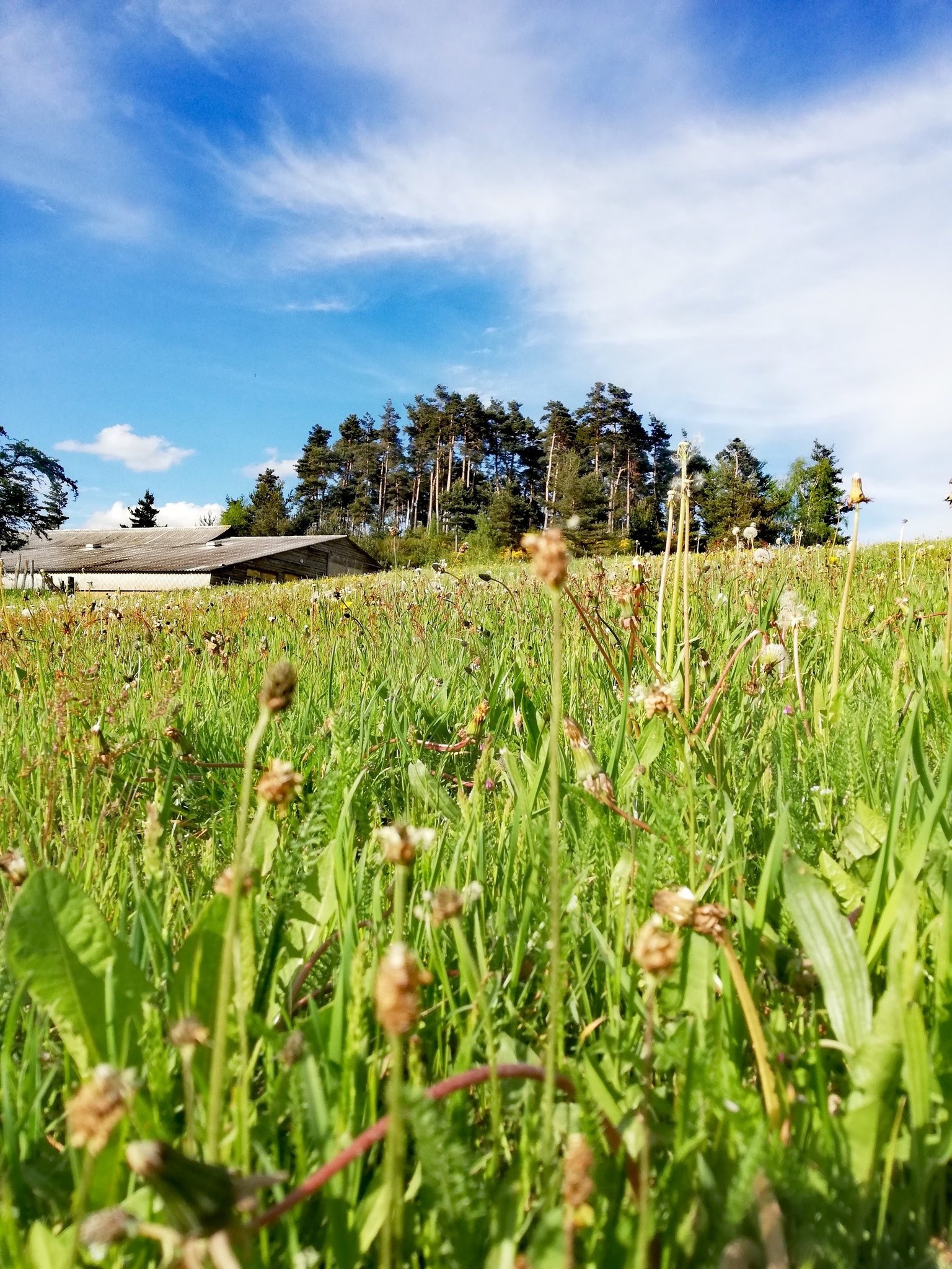 548209772 1364056125721156 4370764691809488282 n