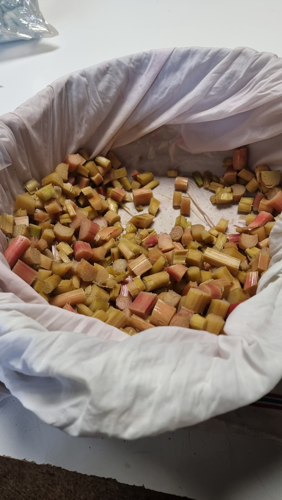 548194566 1364089819051120 4387510073497004014 n