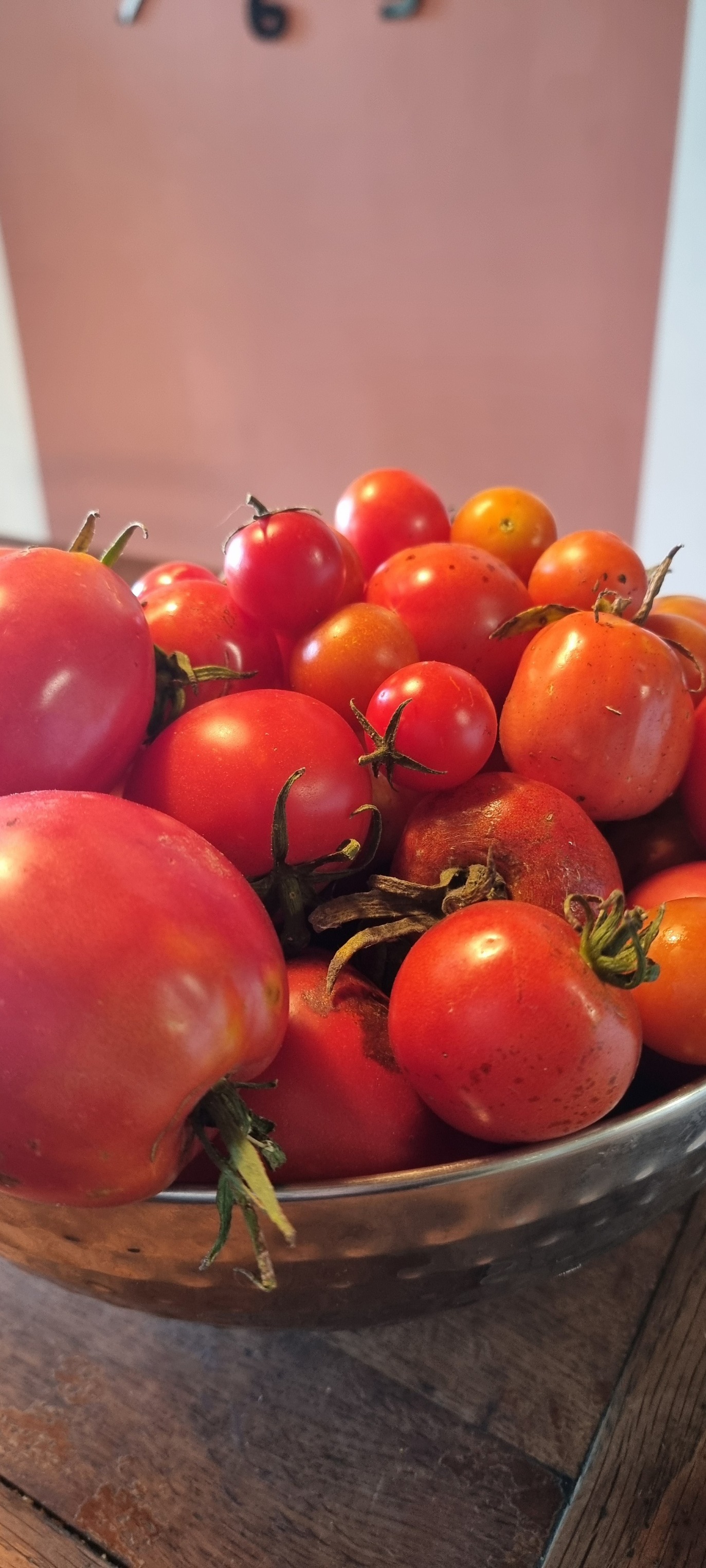 548181455 1364053189054783 529364415016462839 n