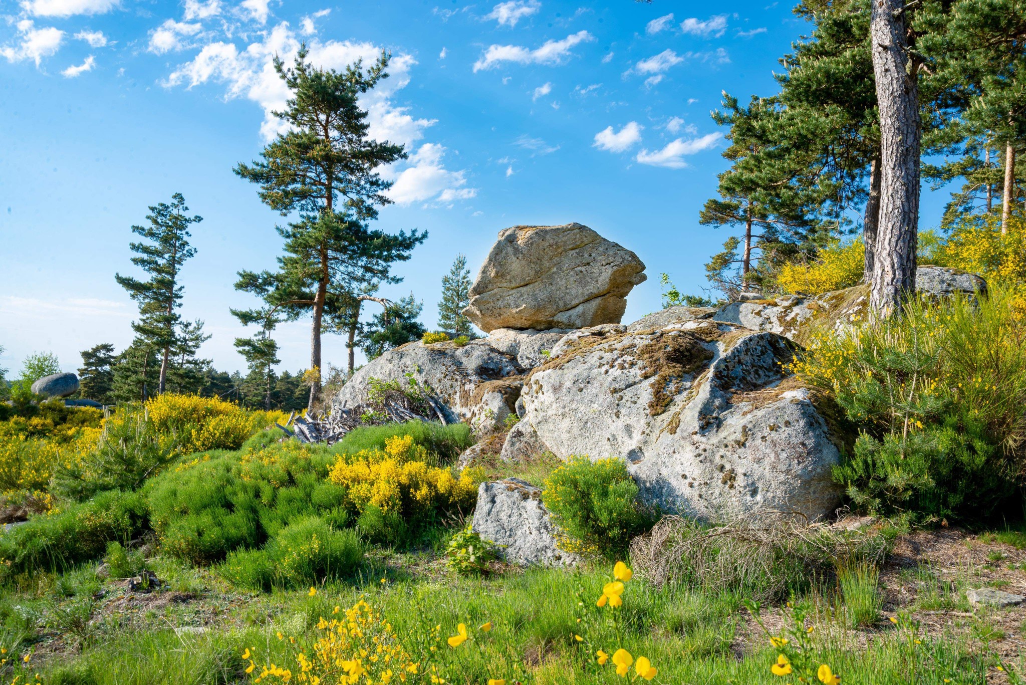 548161857 1364056389054463 6134939885990281229 n