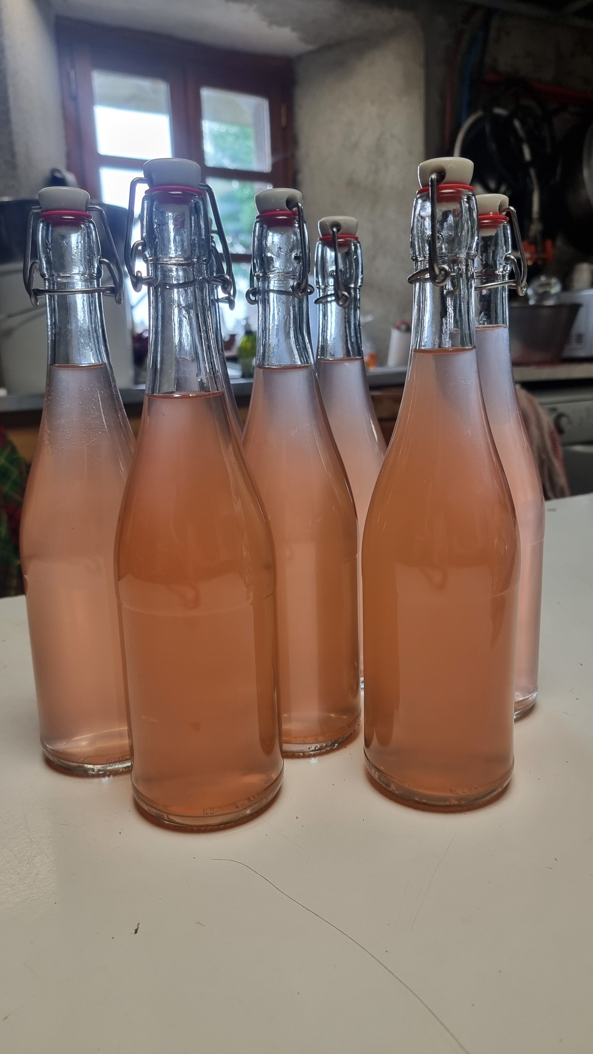 547476090 1364085522384883 3743501627621191824 n