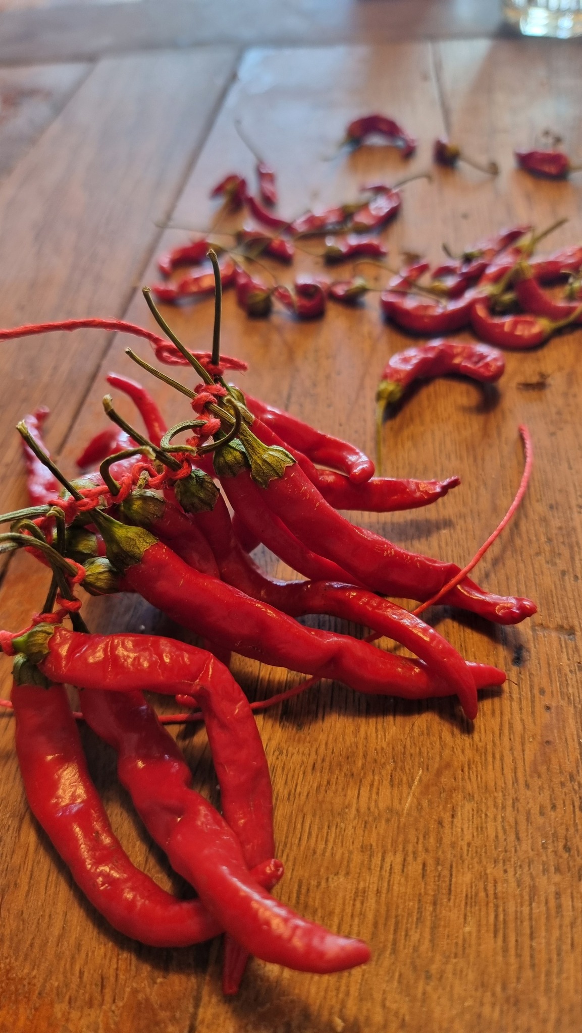 547437238 1364053585721410 7495436570019660048 n