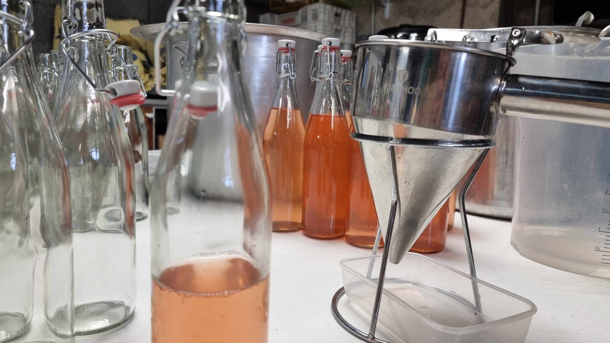 546268647 1364054302388005 4203487477315466659 n