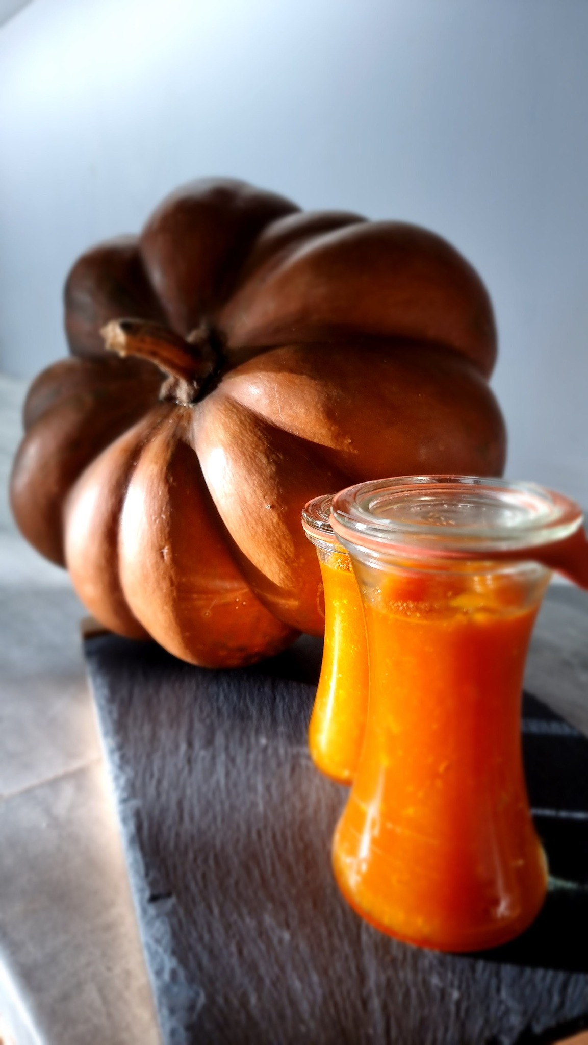 501753460 1271782181615218 3473295262632783758 n