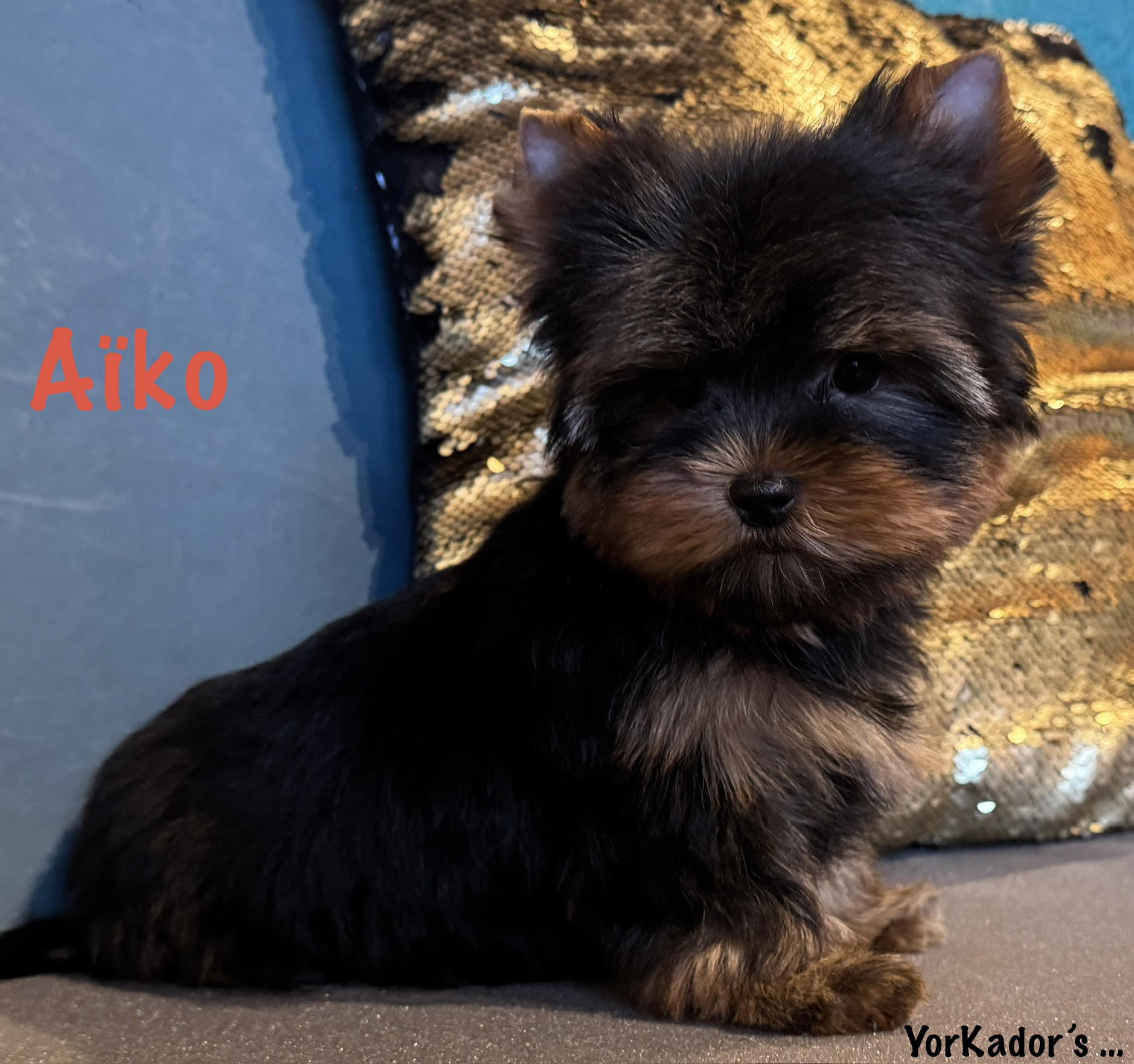 Aiko