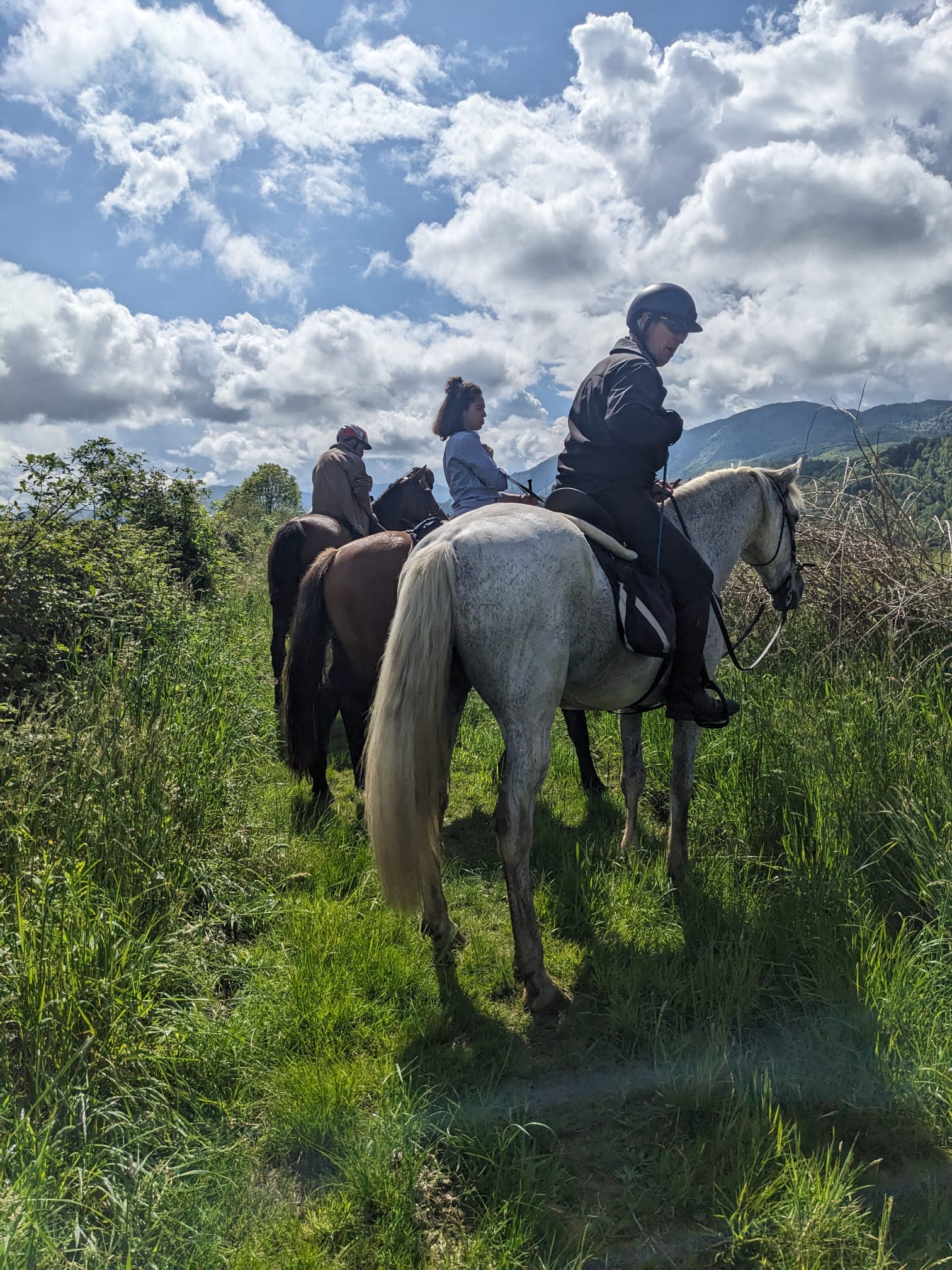 Whatsapp image 2026 01 14 at 16 11 37