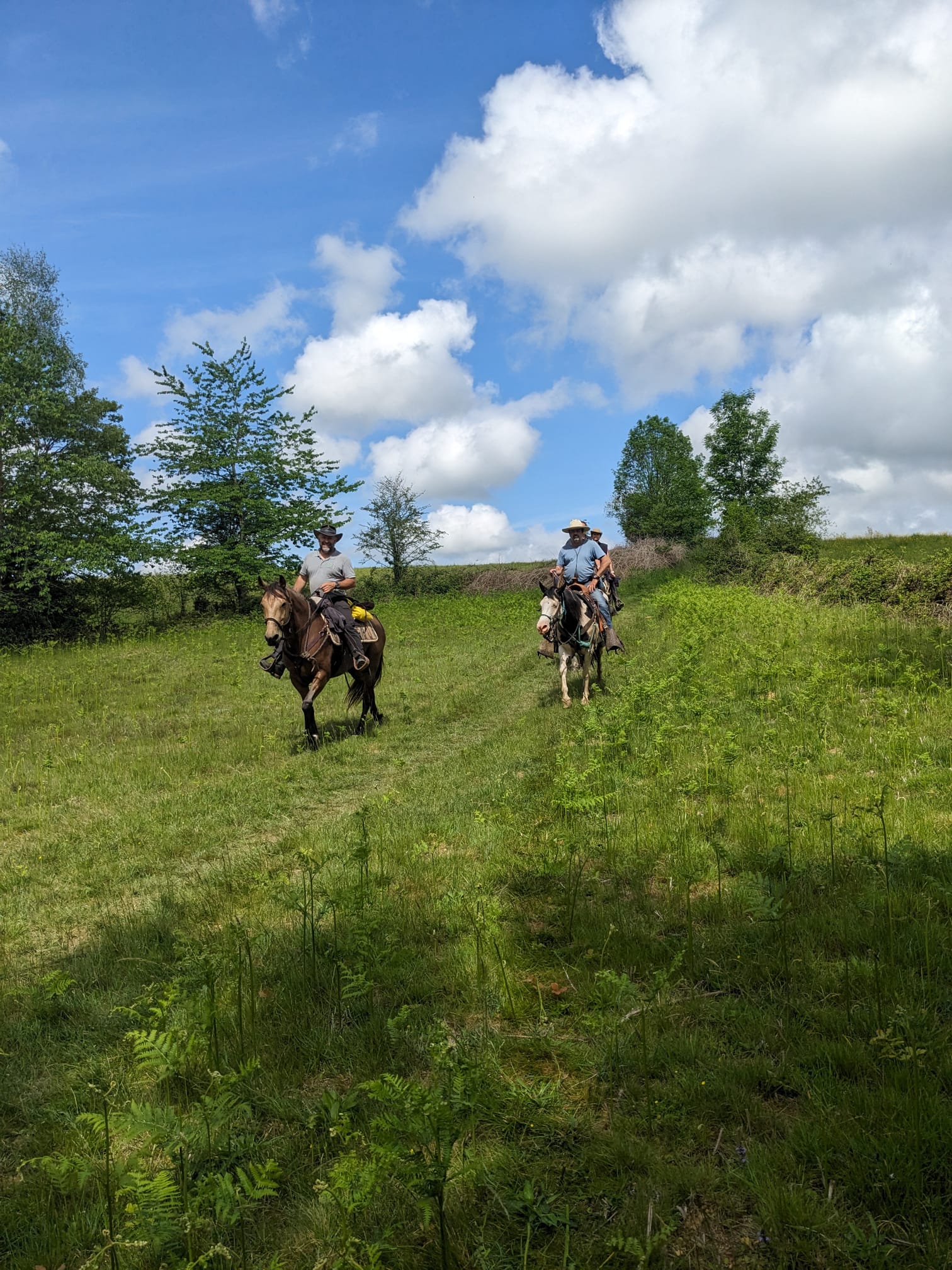 Whatsapp image 2026 01 14 at 16 11 25