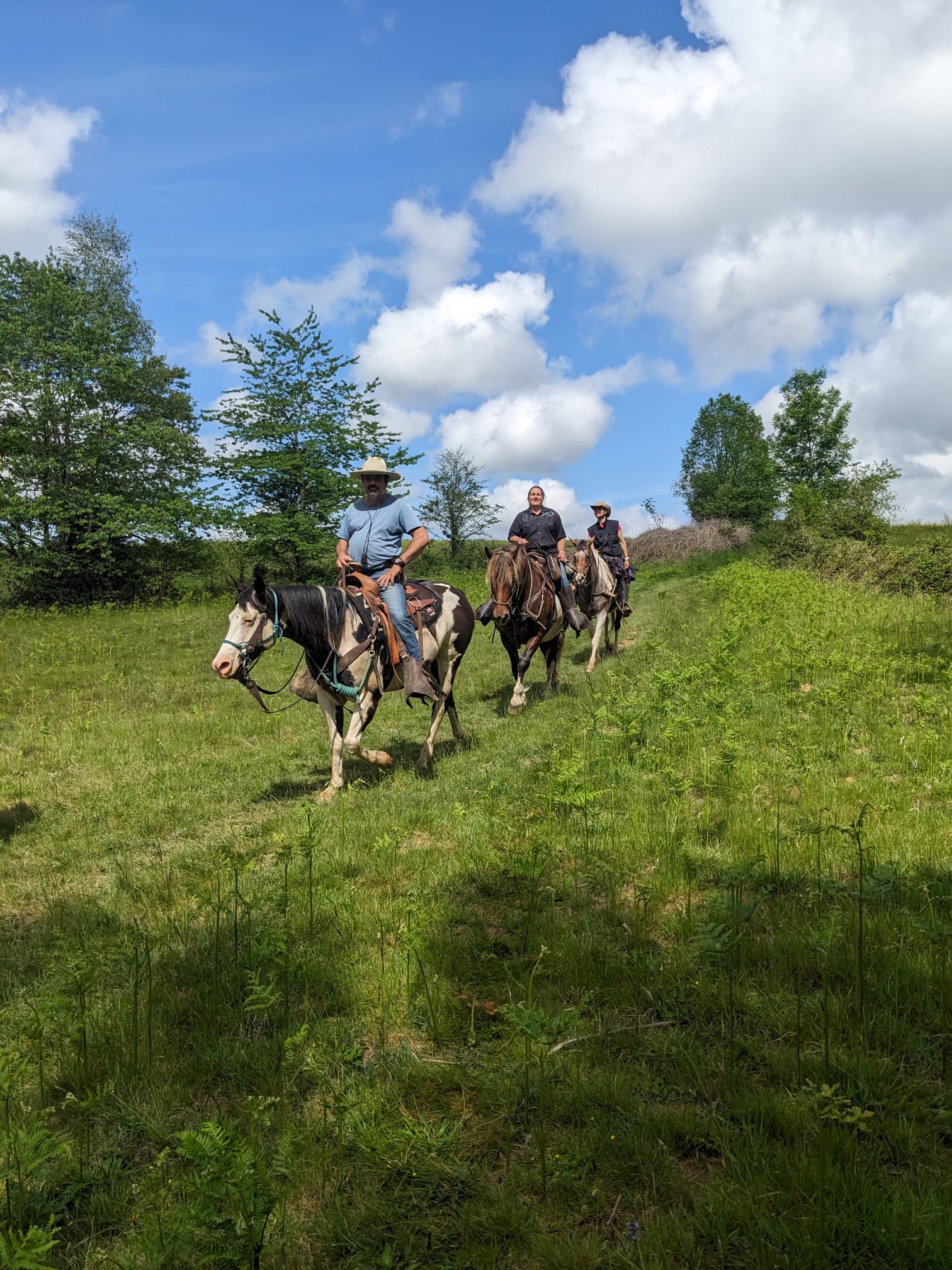 Whatsapp image 2026 01 14 at 16 11 13