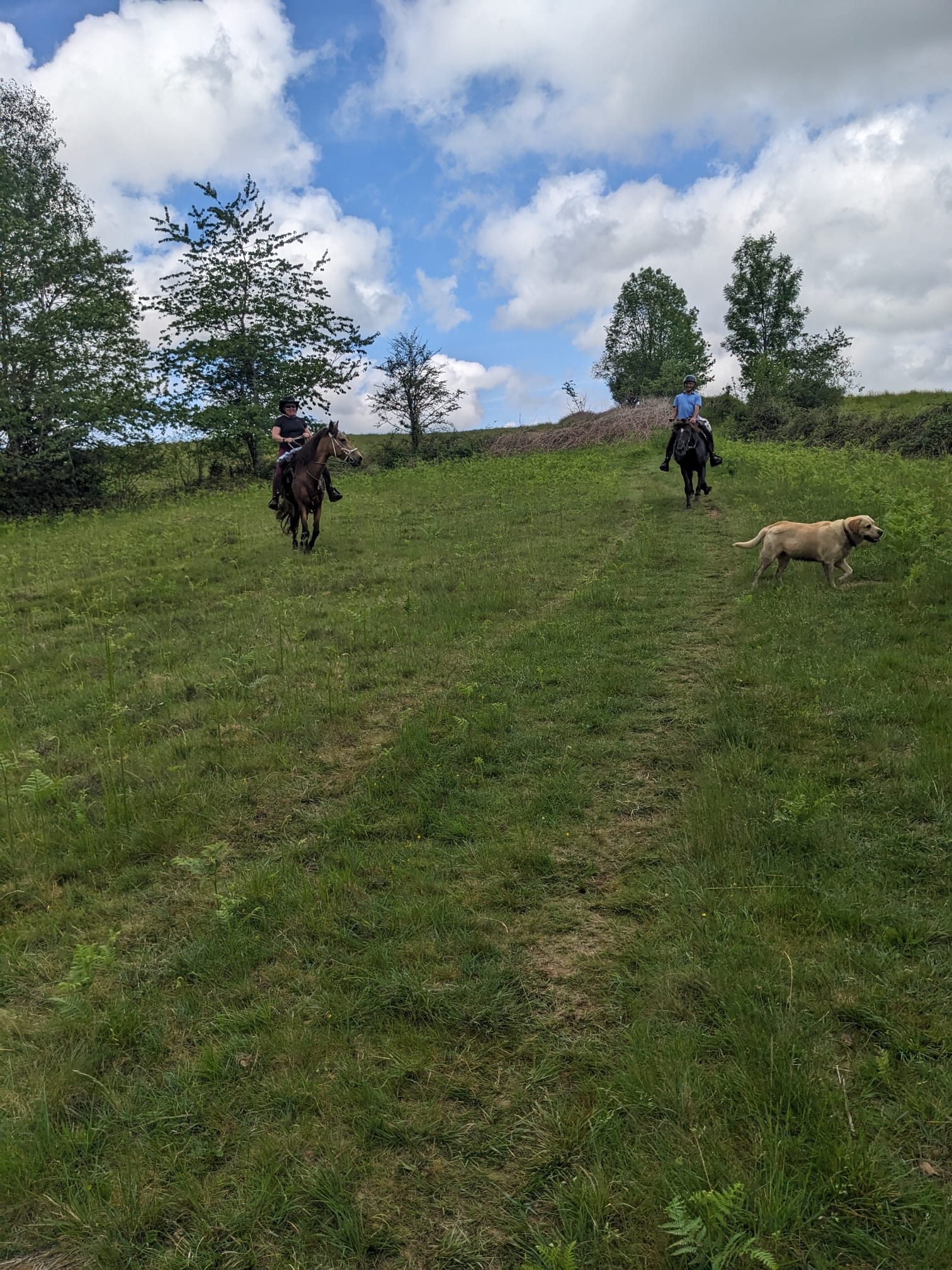 Whatsapp image 2026 01 14 at 16 11 09