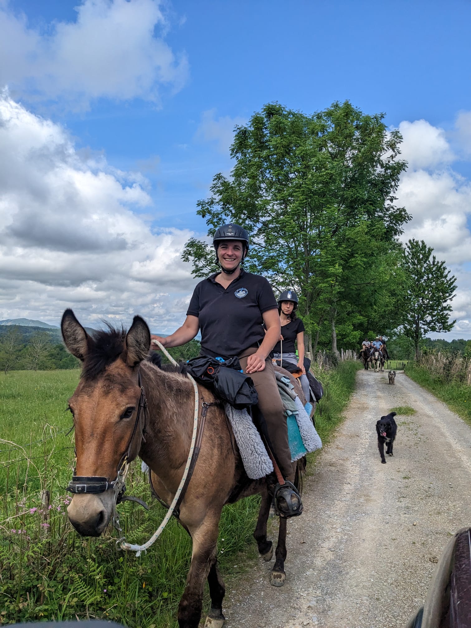 Whatsapp image 2026 01 14 at 16 11 07