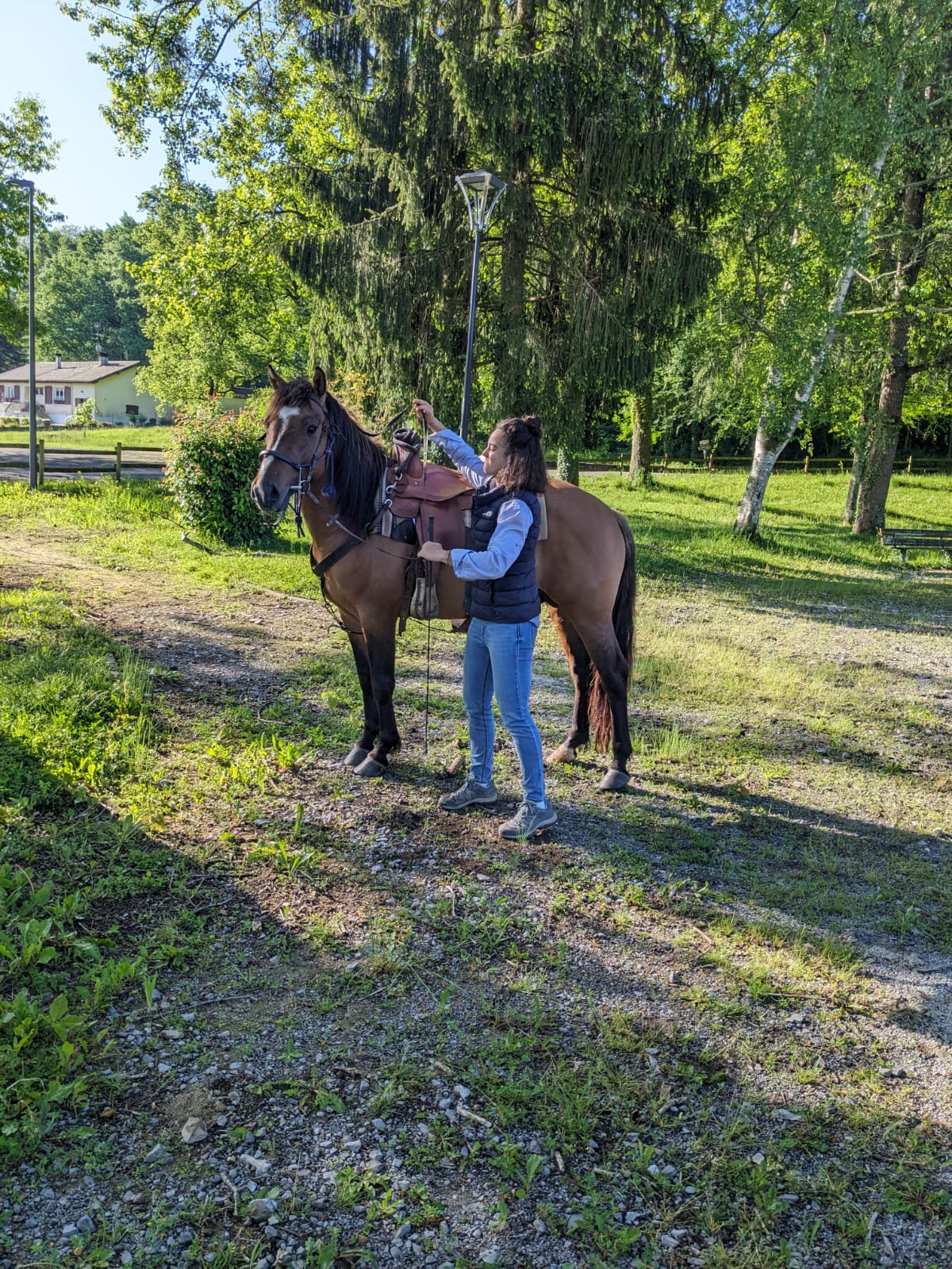 Whatsapp image 2026 01 14 at 16 08 46