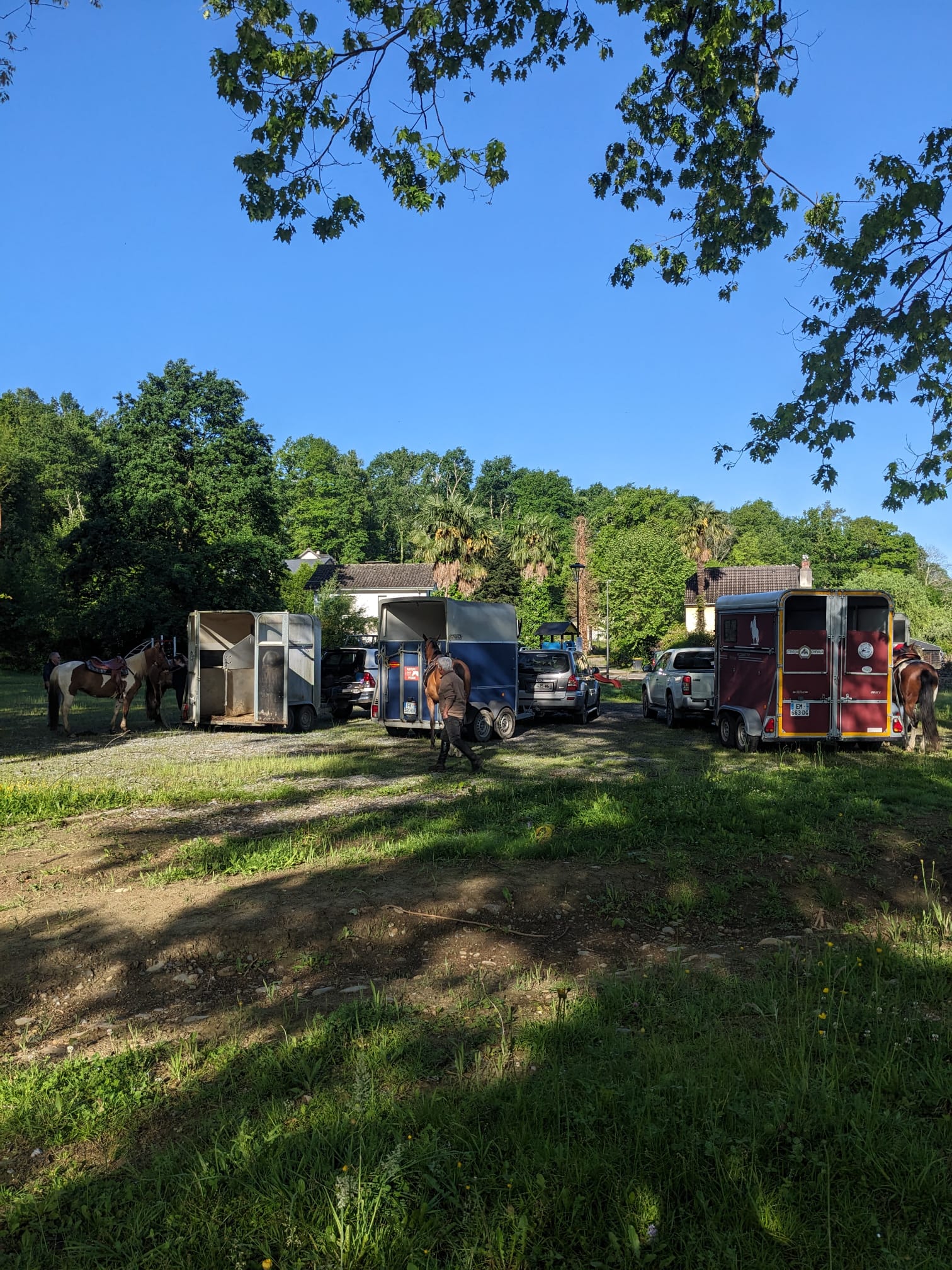 Whatsapp image 2026 01 14 at 16 08 46 6 