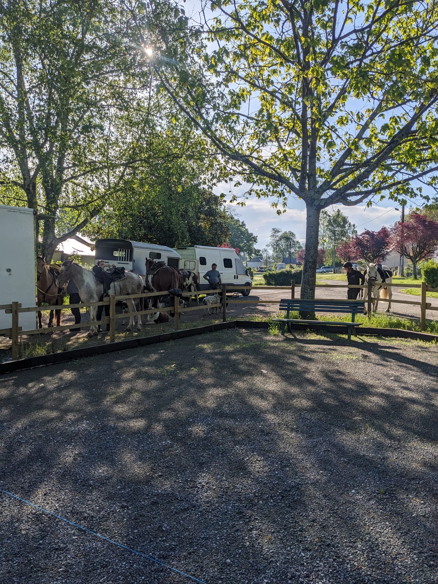 Whatsapp image 2026 01 14 at 16 08 46 5 