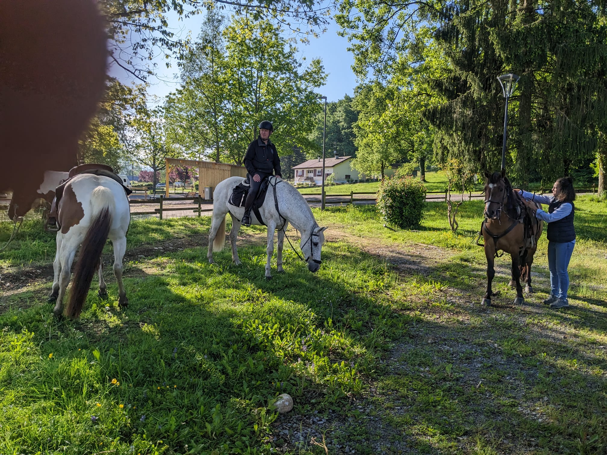 Whatsapp image 2026 01 14 at 16 08 46 1 