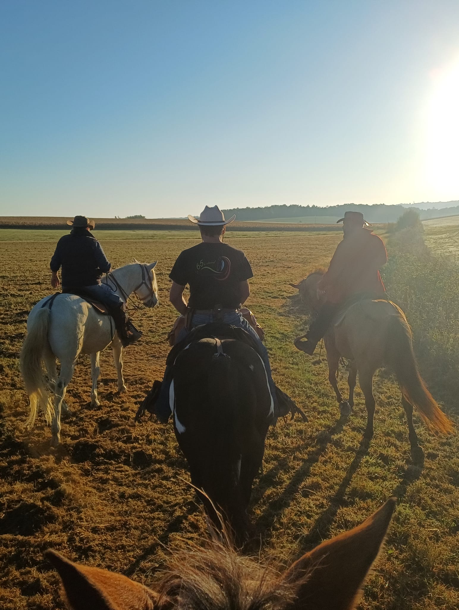 Whatsapp image 2025 10 19 at 19 25 36