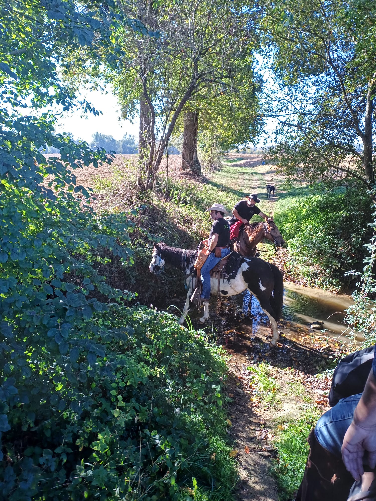 Whatsapp image 2025 10 19 at 19 23 51