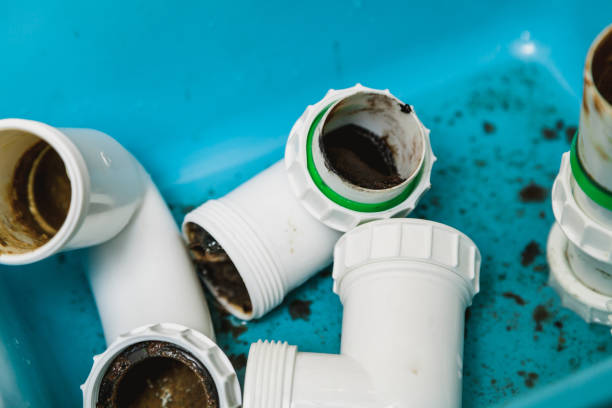 Istockphoto-1147798366-612x612