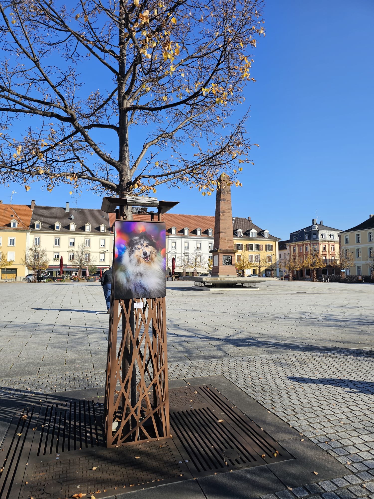 250b5cc6 57cf 42df 8089 98d03443e2ff