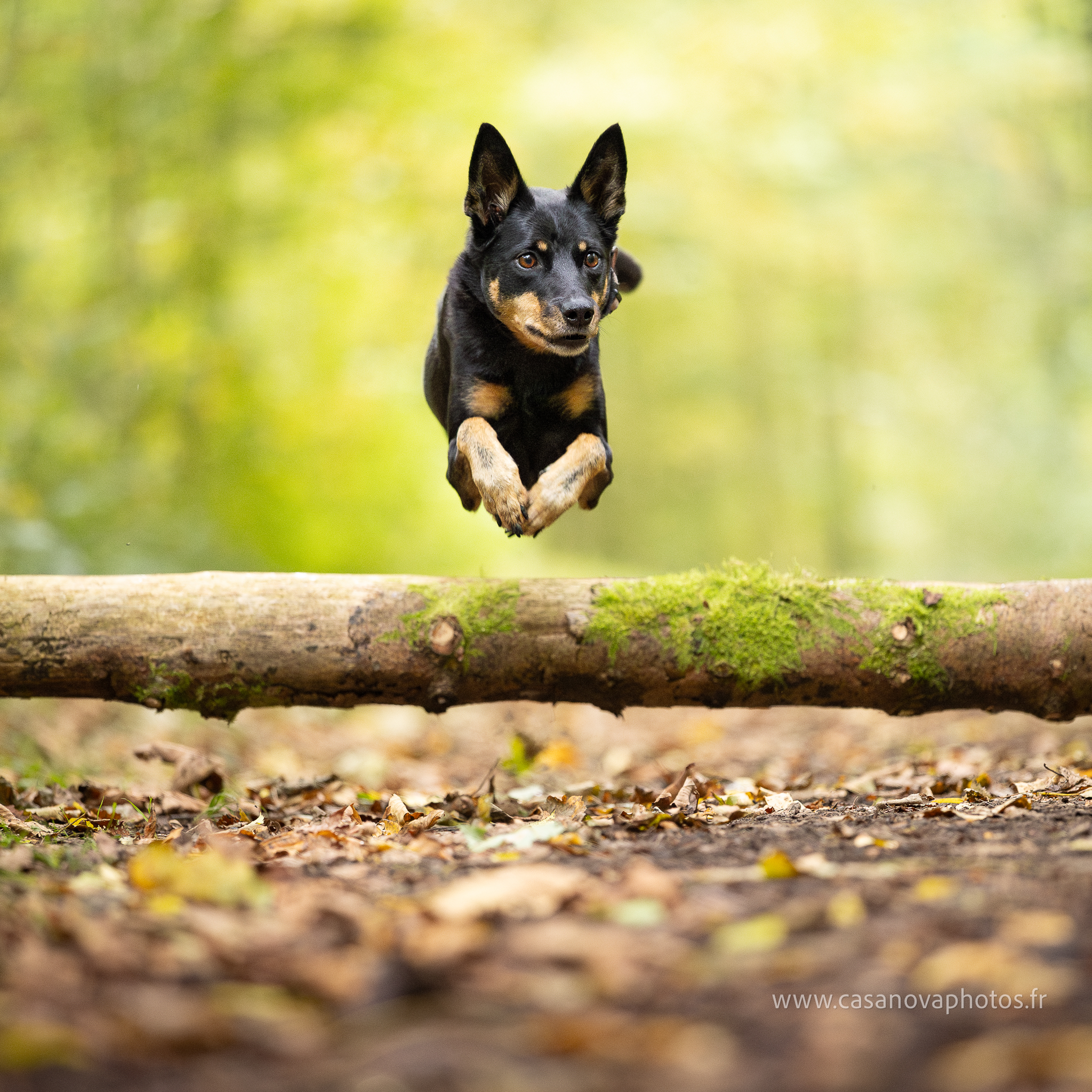 4s6a0800top enhanced nr 2