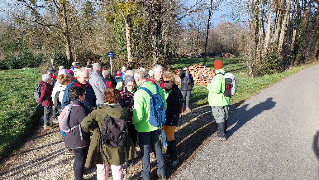 20260111 150034 redim1024