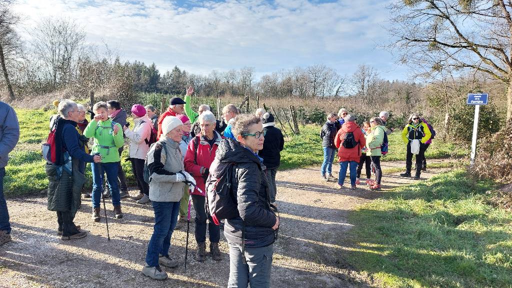 20260111 150021 redim1024