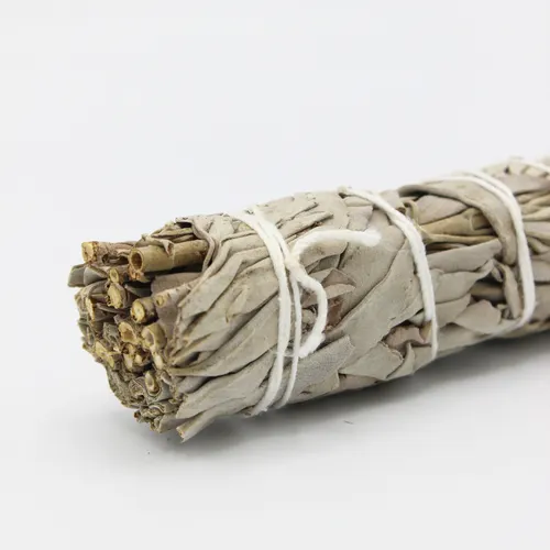 2 158847f1-6f21-4a22-869b-9a9bad6f9948 1445x