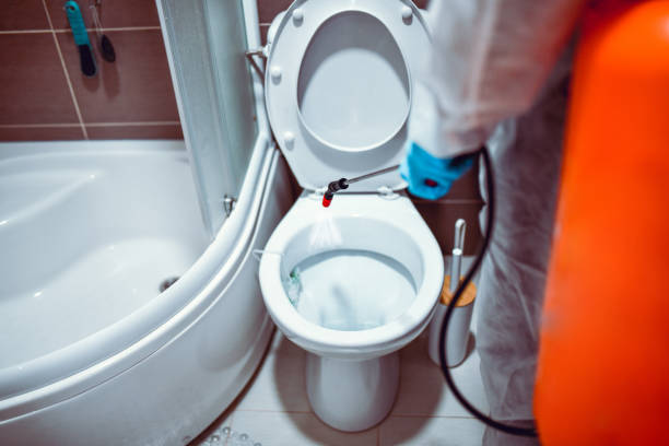 Istockphoto-1317627022-612x612