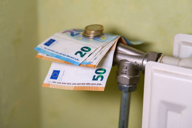 Istockphoto-1453438703-612x612