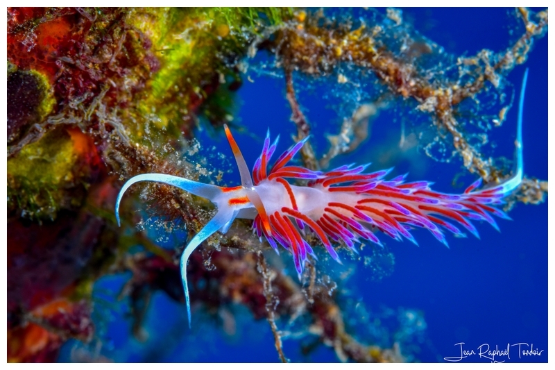 IMG-20250724-WA0014-1