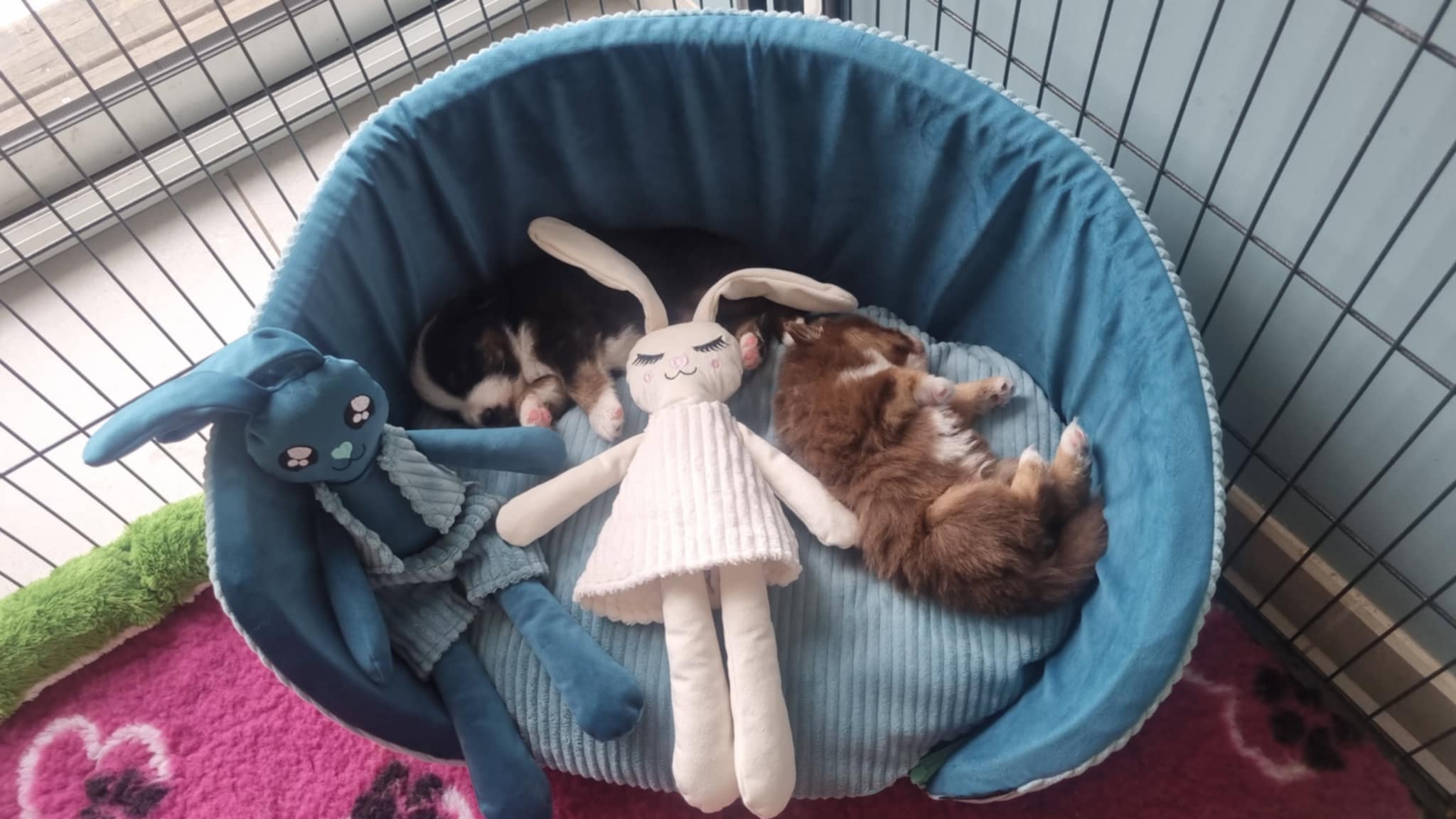 Received 1345063174043972