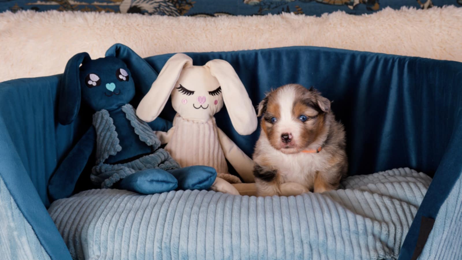 Received 1966594040868012