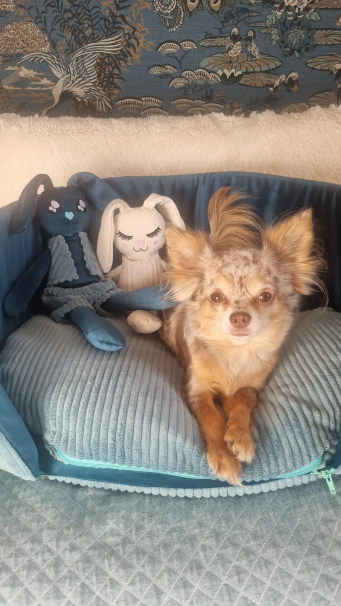 Received 1642566723838877