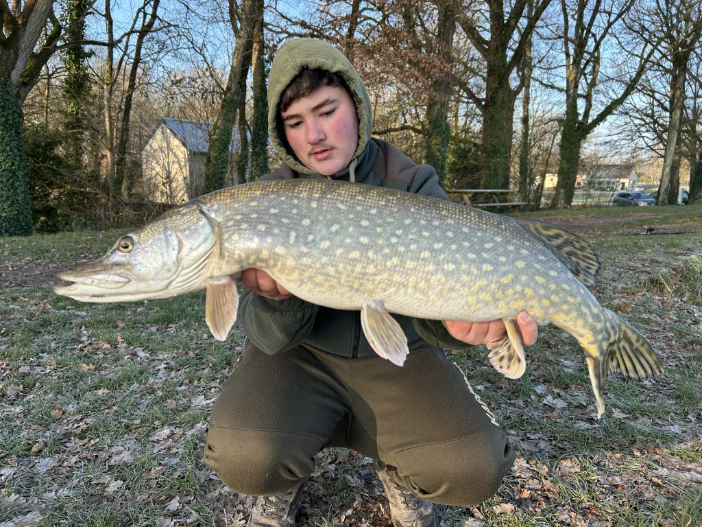 Messenger creation C0F356D5-7696-4E49-8389-6F2AC272C67E