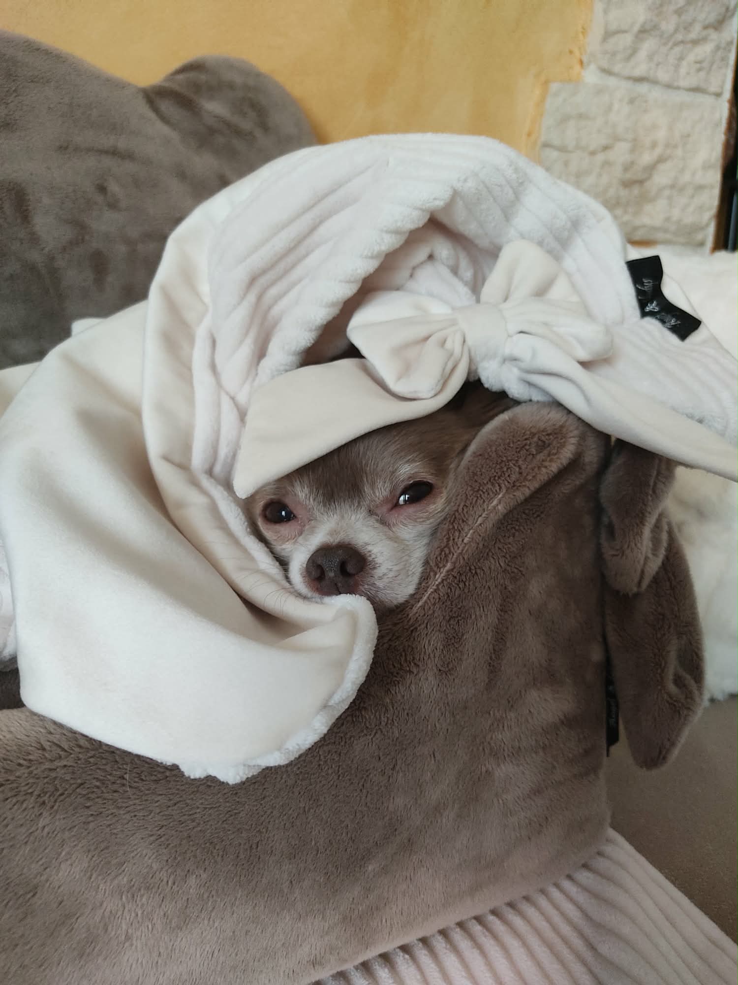 Received 762861086298267