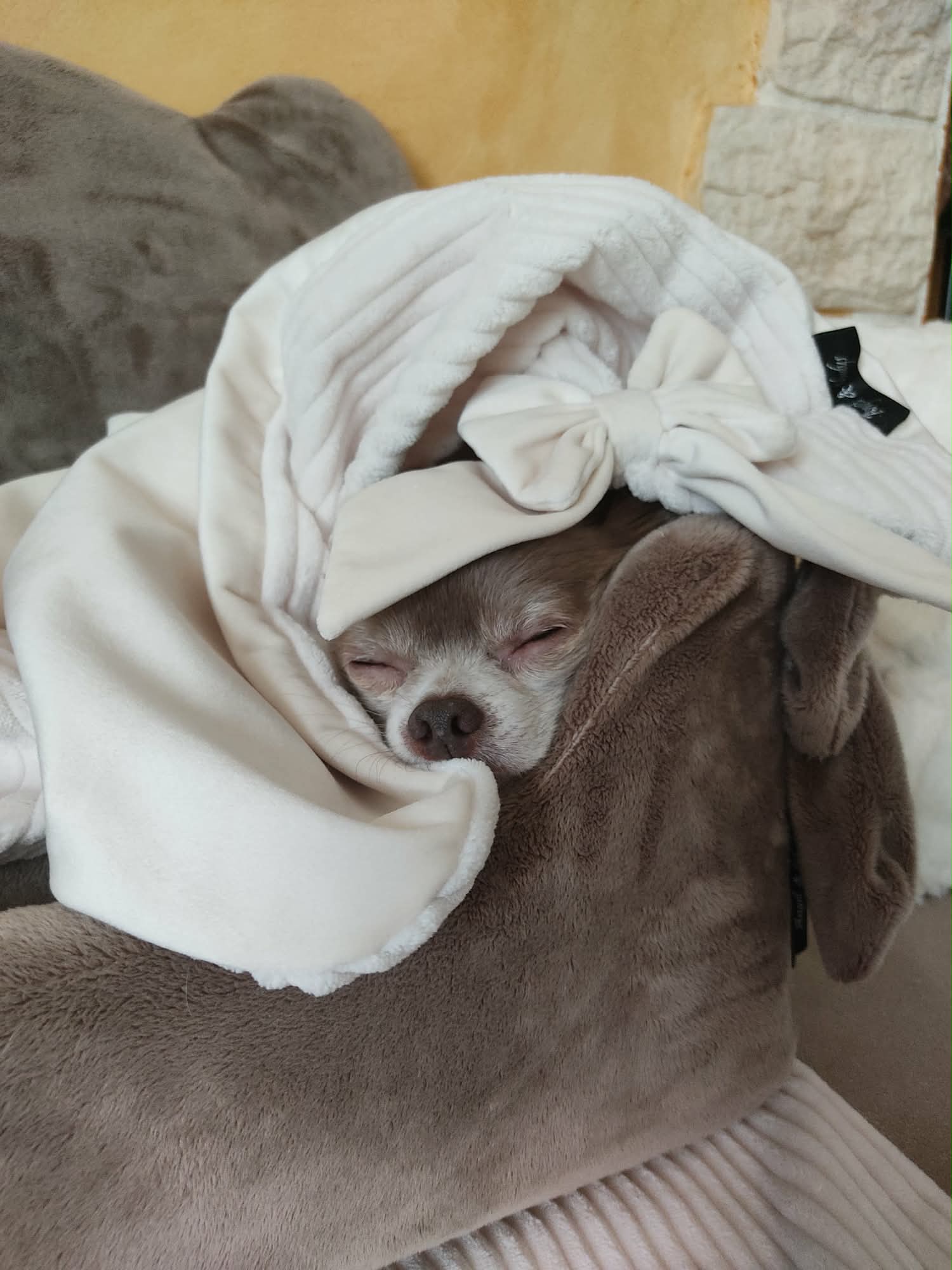 Received 1656989721934574