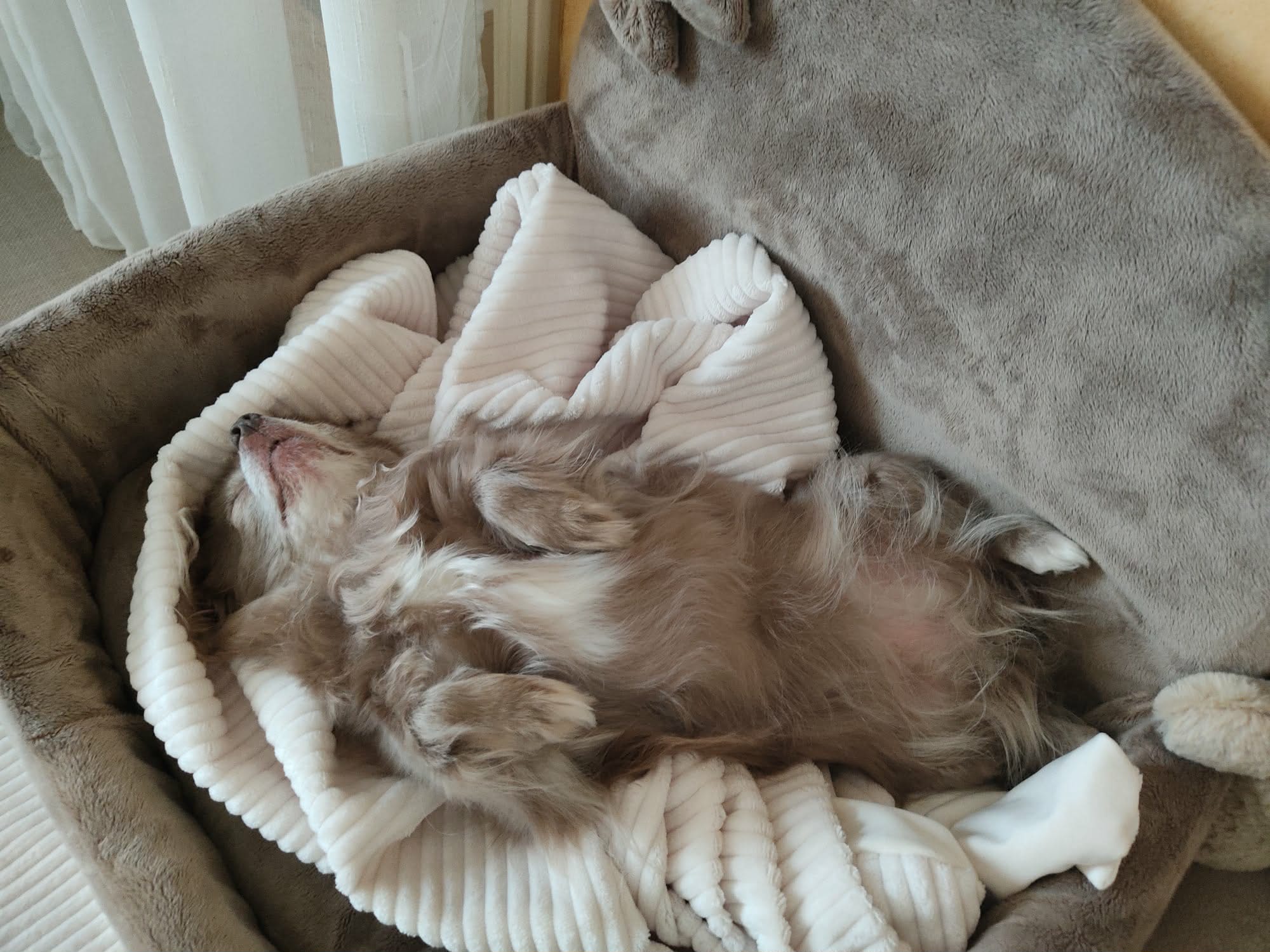 Received 4298827737040839