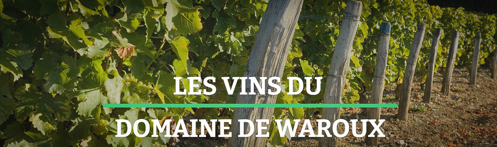 524694043 1299650292164489 8124050157497214589 n-2