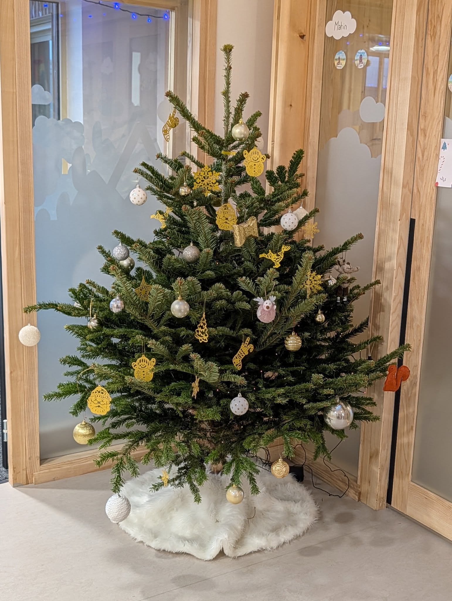 596685638 10239518654007307 2811473041889235496 n