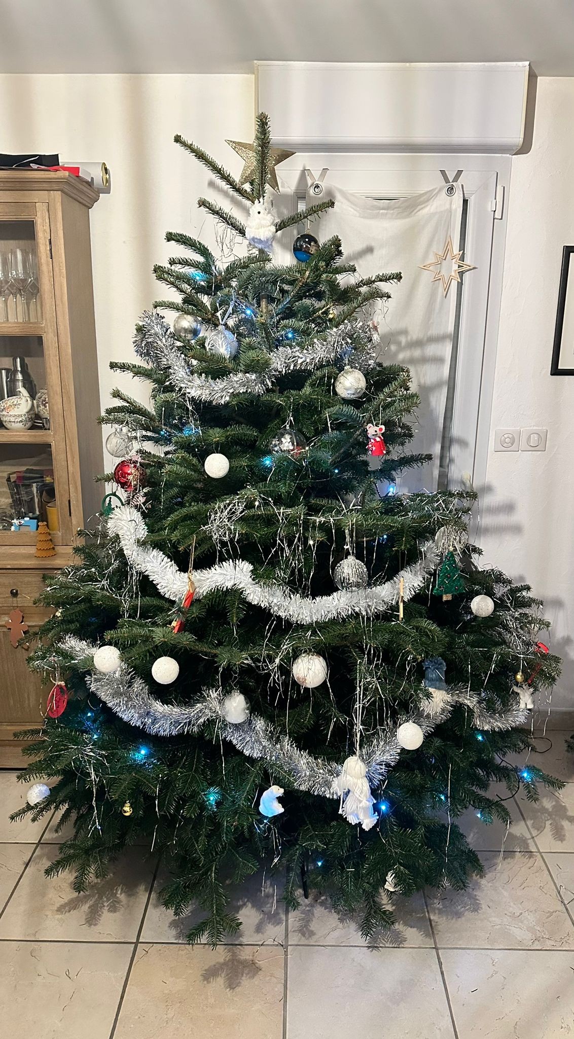 596401742 10239518648247163 3038039520096283464 n