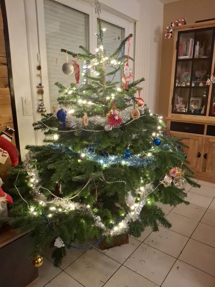 593752233 10239518652807277 7837547805872315145 n