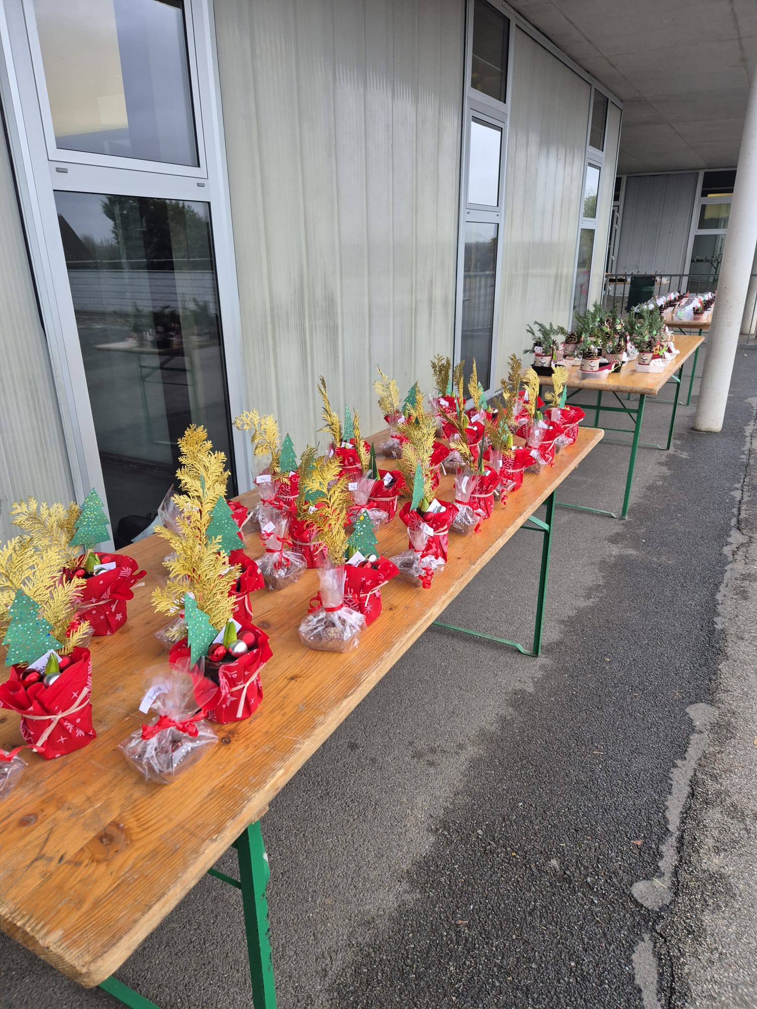 605249386 10241997172525539 514899874669912157 n