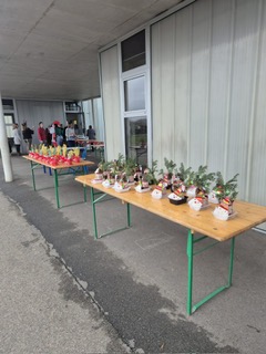 01f657cf-d25c-40bf-8869-39d4a1cbe2a4