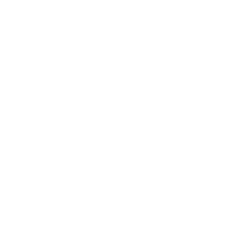 Logo-praxinnov-blanc-sans-base-line