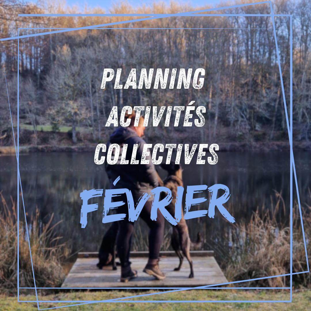 Planning activités collectives et de loisirs ; Février